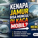 jamur kaca mobil