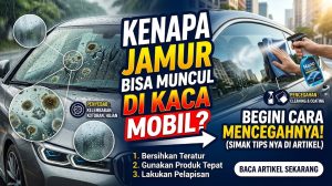 jamur kaca mobil